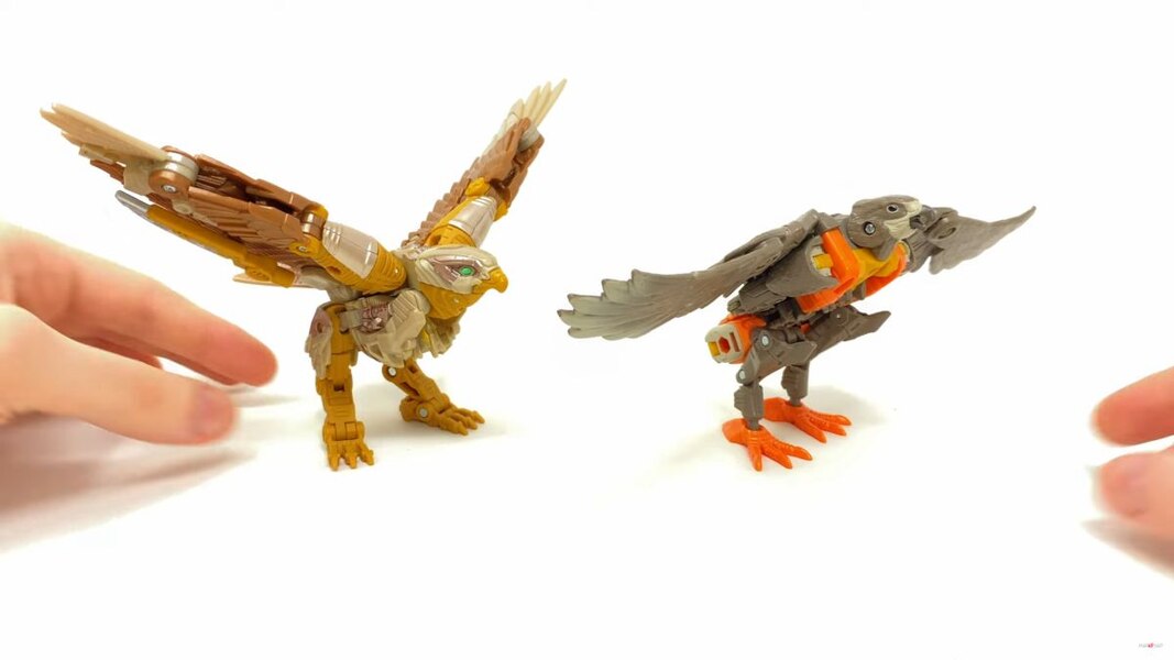 Image Of Rise Of The Beasts Studio Series Airazor Toy  (31 of 55)